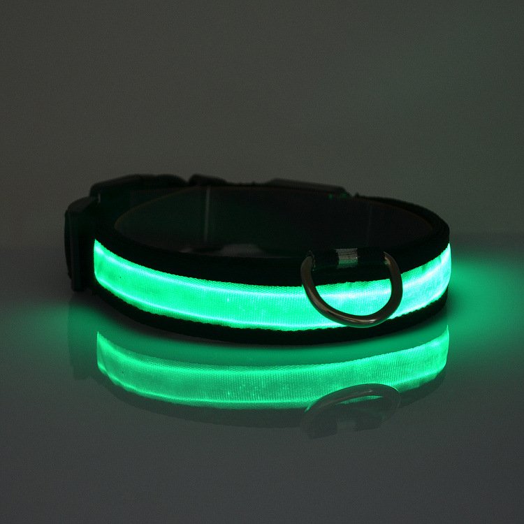 Collier lumineux LED pour chien