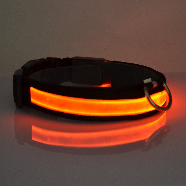 Hundehalsband mit LED-Beleuchtung