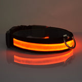 Hundehalsband mit LED-Beleuchtung