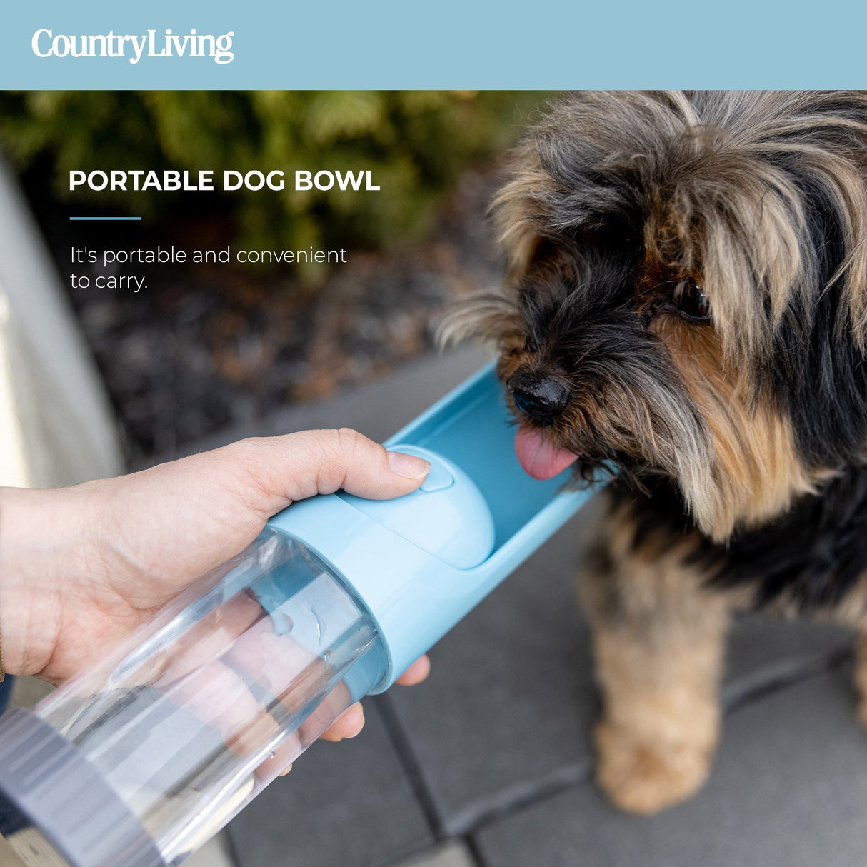 Bouteille d'eau portable pour chien - avec filtre à charbon