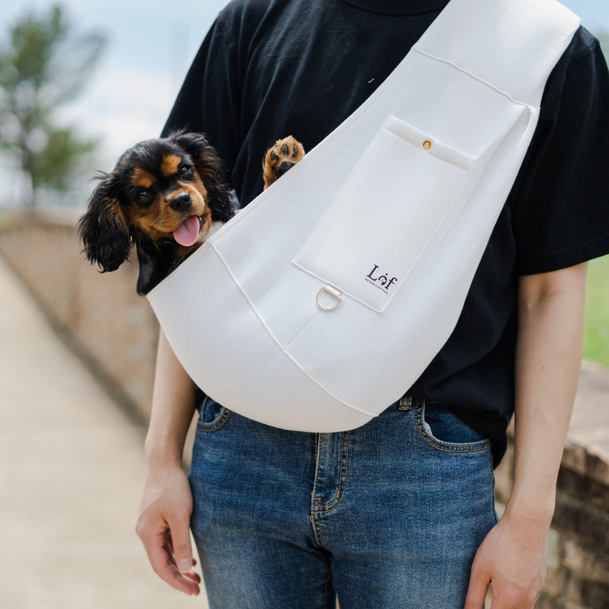 Lof Neoprene Pet Sling Carrier - Secure & Stylish Travel for Small