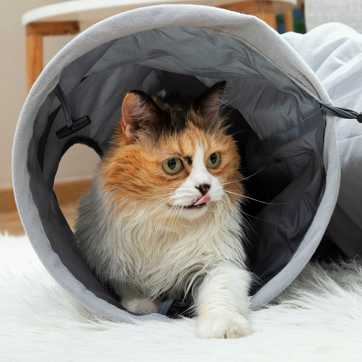 Tunnel pliable pour animaux de compagnie Funnyl InnovaGoods