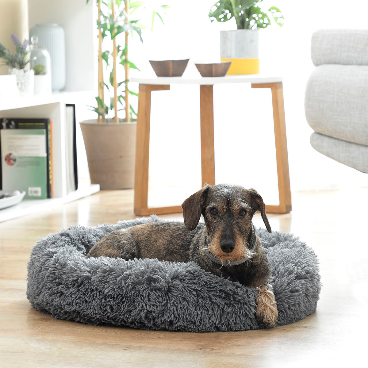 Lit anti-stress pour animaux de compagnie Bepess InnovaGoods Ø 60 cm