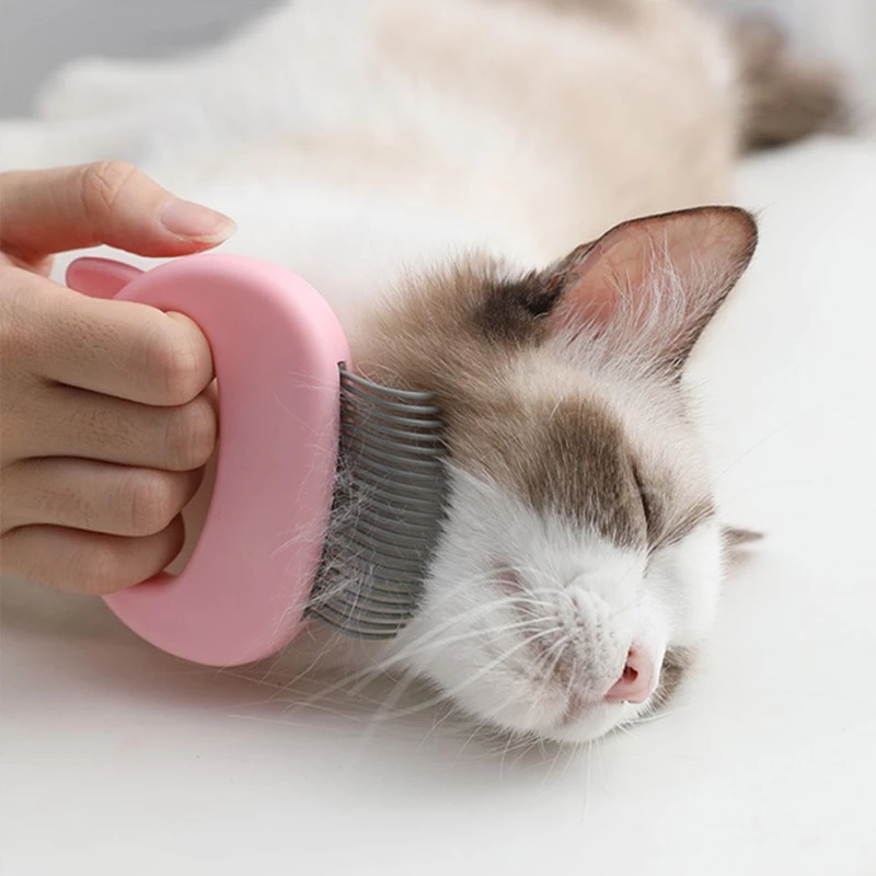 Brosse de massage pour animaux de compagnie Outil de massage de toilettage pour animaux de compagnie pour éliminer les poils lâches