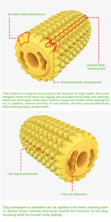 Brosse à dents pour animaux de compagnie, bâton de maïs, jouets à mâcher pour chiens