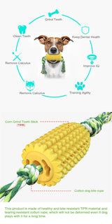 Brosse à dents pour animaux de compagnie, bâton de maïs, jouets à mâcher pour chiens