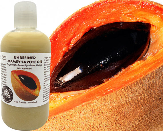 Natives Mamey Sapote (Sapuyulo) Öl aus biologischem Anbau